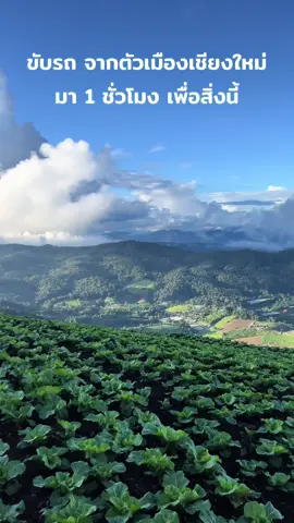เดินทาง มาเพื่อสิ่งนี้ 🍃⛰️☁️#ยิ่งยงสวนดอกไม้ #ม่อนแจ่ม #ธรรมชาติ #เชียงใหม่ #สวนดอกไม้ #ภูเขา #ดอกไม้ #แม่ริมเชียงใหม่ #สวนดอกไม้บนดอย #ทะเลหมอก #เที่ยวเชียงใหม่ #chiangmai #สวนดอกไม้เชียงใหม่ #yingyongflowergarden #ไทยแลนด์ #ยิ่งยงสวนดอดไม้ #แม่ริม #thailand #หมอก #อากาศหนาวแล้วนะ🥰🥰 #เดินทาง 
