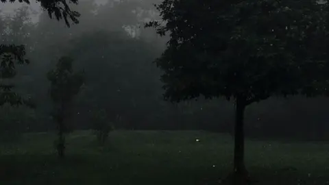 ﴿وَالَّذينَ هُم عَلى صَلَواتِهِم يُحافِظونَ ۝ أُولئِكَ هُمُ الوارِثونَ ۝ الَّذينَ يَرِثونَ الفِردَوسَ هُم فيها خالِدونَ ۝ وَلَقَد خَلَقنَا الإِنسانَ مِن سُلالَةٍ مِن طينٍ ۝ ثُمَّ جَعَلناهُ نُطفَةً في قَرارٍ مَكينٍ﴾ [المؤمنون: ٩-١٣] المختصر في التفسير: والذين هم على صلواتهم يحافظون بالمداومة عليها، وعلى أدائها في أوقاتها بأركانها وواجباتها ومستحبّاتها. أولئك المتصفون بهذه الصفات هم الوارثون. الذين يرثون أعلى الجنة هم فيها ماكثون أبدًا، لا ينقطع نعيمهم فيها. ولقد خلقنا أبا البشر آدم من طين، أُخِذَت تربته من خلاصة استُخْرِجت من ماء مختلط بتربة الأرض. ثم خلقنا ذريته متناسلين من نطفة تستقرّ في الرحم إلى حين الولادة. #قران #محمد_اللحيدان #اكتب_شي_توجر_عليه #quran #quran_alkarim #اكسبلور 