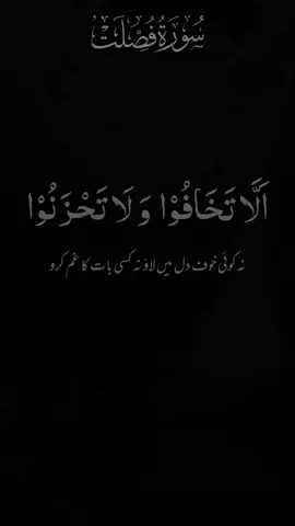 #ارح_سمعك_بالقران ❤️🎧#القران_الكريم_راحه_نفسية😍🕋 #راحة_نفسية #ارح_سمعك_بالقران❤️🎧 #الکریم #امین_یارب_العالمیــــــــــن🤲🏻🥺 #ماشاءاللہ #القران_الكريم_راحه_نفسية😍🕋 #foryo #ارح_سمعك_بالقران #forupage @TikTok UK @TikTok 