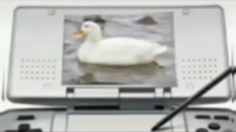 🪿🗣️‼️ #CapCut  #pato #patito #patitocuaccuac #nintendo #nintendods #ds #cuac #memes #meme #fyp #paratiiiiiiiiiiiiiiiiiiiiiiiiiiiiiii 