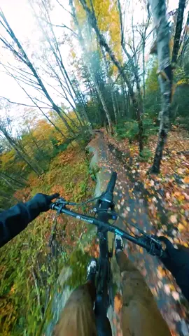 All time fall time!! #mtb #freeride #sendit #ride 