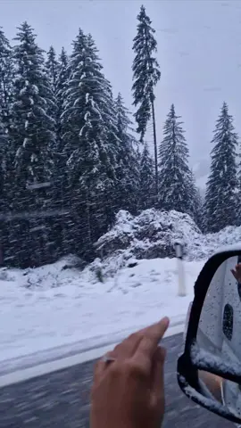Driving through the alps while having this magical view ❄️🏔 #snow #winteriscoming #magicalviews #fy #fypage #fyppppppppppppppppppppppp 