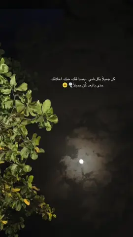 #اكسبلورexplore 