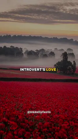 Introverts love. ♥️🙌, vs How everyone treats it. 🥀💔🥹#fyp #foryouu #loveyou #introvert #introverts #broken #breakup #explore #Relationship 