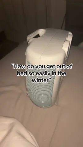 Wish i knew about this heater sooner#fan #heater #electricheater #viraltiktok #wintervibes #warmer 