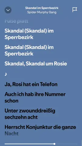 #oktoberfest #oktoberfest2024#skandalimsperrbezirk #rosi#spydermurphygang #viral#beer#bierzelt#wiesn#song#spotify#banger