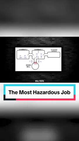 The Most Hazardous Job