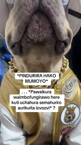#zimcomedy🇿🇼🇿🇼zimtiktok🇿🇼🇿🇼 #zimuk🇬🇧🇿🇼 #shonajokes🇿🇼🇿🇼 #🇿🇼🇿🇼tiktokin🇿🇦🇿🇦 