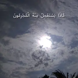 #قرآن_كريم #قران #قران_كريم #لكل_امة_اجل #قرآن #القرآن #القران #quran_kareem #quran #القرآن_الكريم🌺🤲 #قرآن_كريم_راحة_نفسية🌷🌻 #قران_كريم_بصوت_جميل