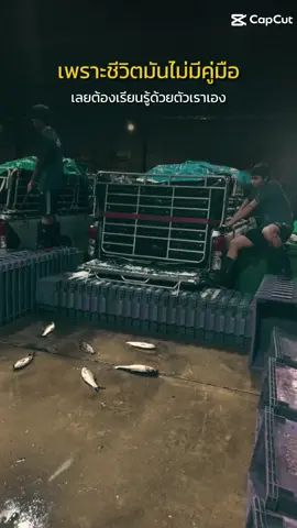 วัยรุ่นปลาอ๊อก🐟🐟#รถปลาอ๊อก🐟 #แปดริ้วหวานเจี๊ยบบ #แพปลา_ยสพนธ์ 