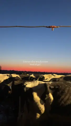 Nothing better than a pretty view 🌅#sunset #sunrise ##australia #dairyfarm #fypage #dairyfarmer #youngfarmersdoitbest🤌🏻🥩🐄 #womaninag #cowboy #australia🇦🇺 
