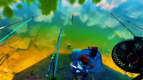“Chủ nhật của anh em sau rồi..”#câucagiaitri #câucá #câucatựnhiên #câudaifising #mómthudicau😜 #fishing #binhyen #xuhuongtiktok 