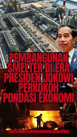 Pembangunan Smelter di Era Presiden Jokowi Perkokoh Pondasi Ekonomi