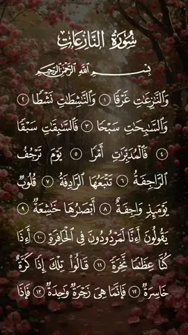 سورة النازعات كاملة بصوت الشيخ سعد الغامدي #سعد_الغامدي #سورة_النازعات #قران #قران_كريم #قرآن #القرآن_الكريم_ترند #تلاوة_خاشعة #راحة_نفسية #نفع_الله_بكم_الاسلام #المؤمنون_بالله_وحده #حافظواعلى_الصلاة #لاتكفروا_بالله #الصلاة #خاشع_ومؤثر #اسلام #سبحان_الله #oops_alhamdulelah #لا_اله_الا_الله #الله_اكبر #الله #محمد #محمد_صلى_الله_عليه_وسلم #استغفرالله #استغفرالله_العظيم_واتوب_اليه #الامارات #الشارقة #السعودية #المدينه_المنوره #مكة #مكة_المكرمة #الكويت #دبي #قطر #مصر #الجزائر #العراق #uae #friday #dubai #indonesia #turkey #egypt #islam #quran #quran_alkarim #fyp #viral #foryou #islamic 