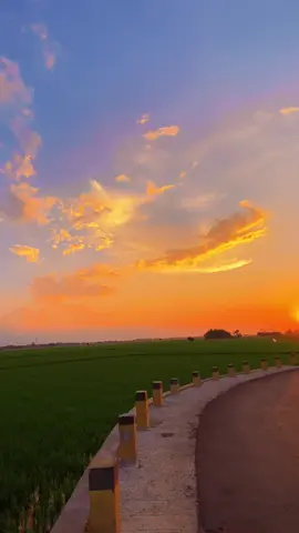 sunset di kampung ku 🌅 #estetik #sunset #senja #sawah #langit #astrophile #indramayu #aesthetic #sky #mentahan #videoestetik #senjasorehari #cinematik 