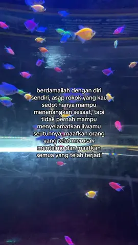 #fyp 