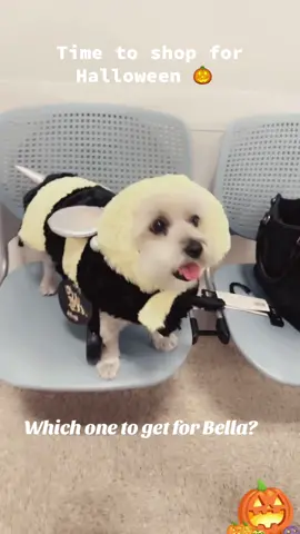 #dog#halloween#cute#outfits#to#choose#from#fypシ 