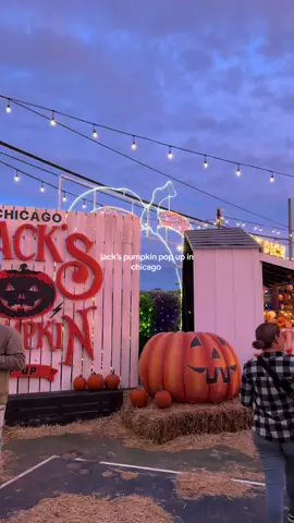 This is the cutest Chicago fall activity i’m obsessed i would even go again!! 🎃 #chicago #chicagofall #chicagoactivities #chicagofallactivities #jackspumpkinpopup #thingstodoinchicagk #creatorsearchinsights 