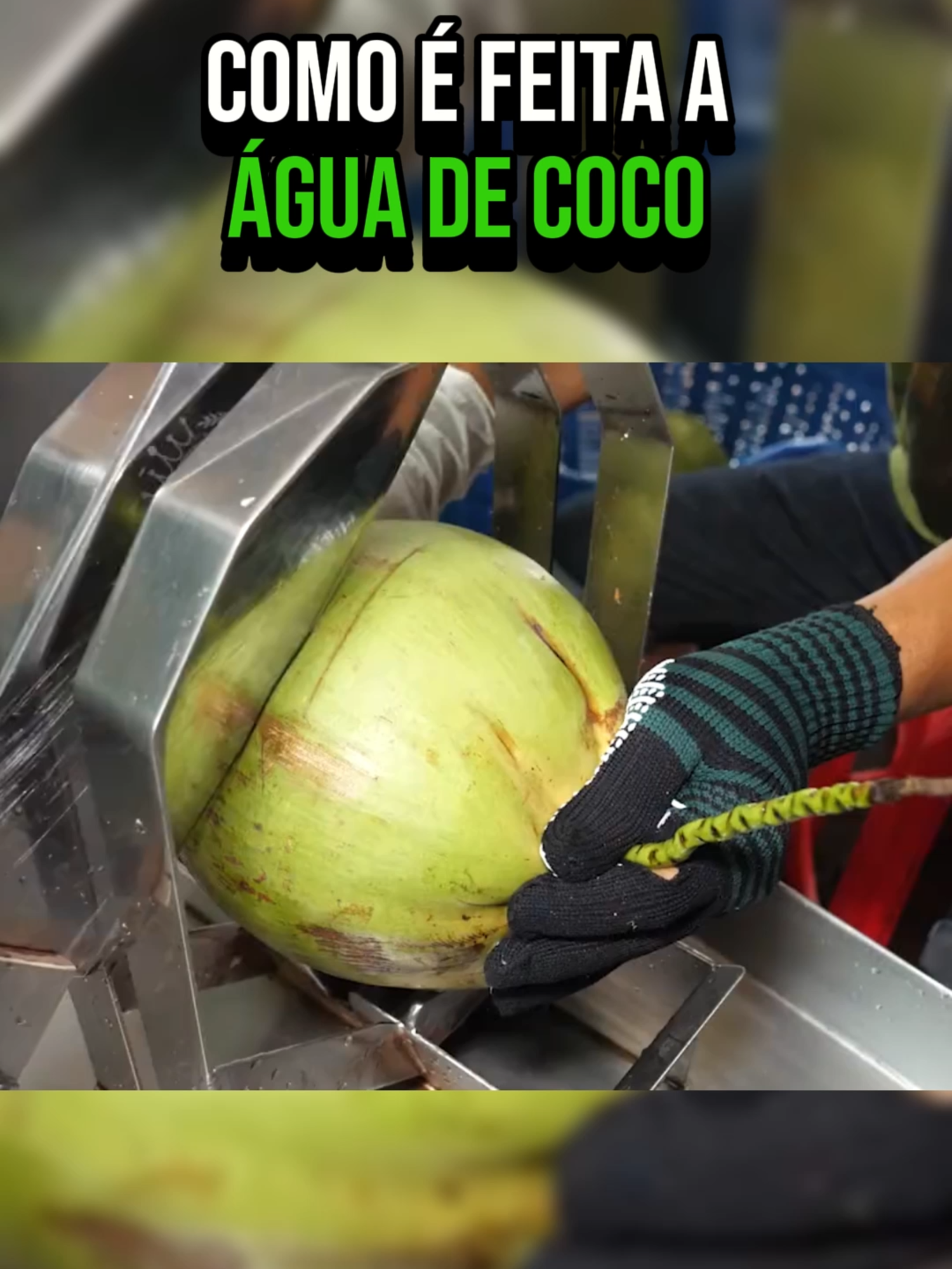 Você sabe como é feita a água de coco? #agua #coco #processo #praia #calor