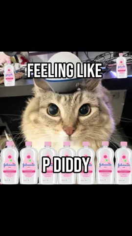 Feeling like P Diddy 😬 #catcontent #babyoil #pdiddy 