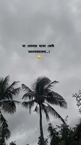 মা তুমি যেই দিন এই পৃথিবীতে থাকবে না সেই দিন আমার কি হবে তুমি ছাড়া আমি বড় অসহায়#🥺 #😔😔 #bdtiktokofficial #foryouofficial #foryourpage #foryoupageofficiall #@TikTok @TikTok Bangladesh 