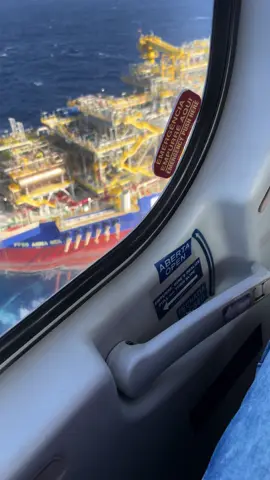 Esse leão já foi 😮‍💨💪🏼 #offshore #Lifestyle
