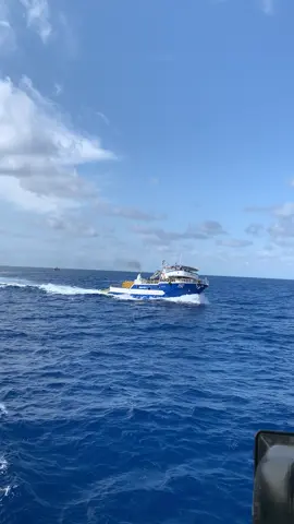 #tunisia🇹🇳 #teboulbaa5080 #sea #boat #fishing 