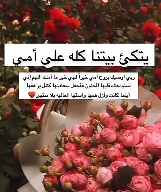 #اكسبلور_تيك_توك 