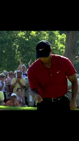 TIGER WOODS 🐐 #pga #PGATOUR #4k 