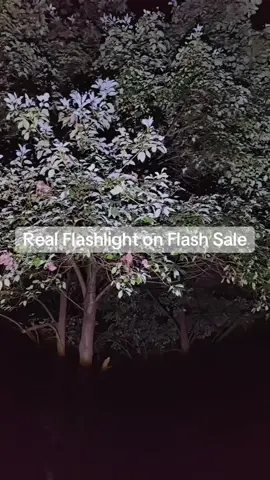 Real flashlight on flash sale #flashlight #flashsale #tiktokmademebuyit #TikTokShop 