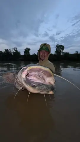 #fishing #pesca #wędkarstwo #catfish #siluro #sum #predatorfishing #monsterfishing #spinfishing #riverfishing #deporte #sport 