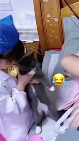 @My Petsie @My Petsie Store  @Adam & Elea @My Petsie Store @Manircure @Adam & Elea Operation: Cat Extraction! 🐱👩‍⚕️😂 #MyPetsie Ft @adam.elea1  ___________________________________________   Explore the Link in Our Bio for More Best Pets Toys & Supplies! 🛒🛍️  ___________________________________________    Follow @my.petsie  For More Daily Videos 🔥❤️  ___________________________________________  Watch this little doctor in action as she performs a ‚surgery‘ to take the cat out of papa’s belly! While the curious cats watch closely, she’s got her hands full with this hilarious operation. 🐾👨‍⚕️ ___________________________________________  Plz Dm for credit & removal 💬  ___________________________________________  Our social Media : 👇(contact on us Instagram    @my.petsie & @my.petsie1 & @mypetsie.store  ___________________________________________   #FunnyCats #DoctorPlay #OperationCat #KidsAndPets #CatExtraction #DoctorPlay #CuriousCats #CatMischief #PretendPlay #FamilyFun #SillyCats #ImaginativePlay #AdorableKids #CatLovers #Nosey #FunnyPets #Kittens #Manircure #AmineBelhouari #MyPetsie #MyPetsieStore 