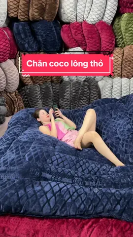 Chăn coco lông thỏ mềm mịn đắp cực ấm cho mua đông #chăn #chanlongtho #chanmuadong #ngocanann #doisong 