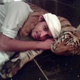 كأن القلب ينبض حسب وقفتها وممشاهــا🤍#ahmedbinmohammed #احمد_بن_محمد_بن_راشد #عزام #fyp 