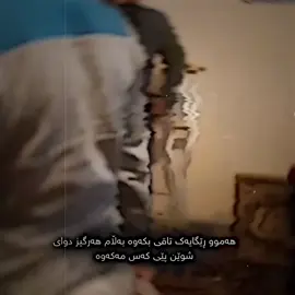 #kalar #foryou #وحید_مرادی #همدان #وحیدمرادی_عقاب_ایران_ #vahidmoradi #foryoupage #ایران #وحیدمرادی #hawler #slemani 