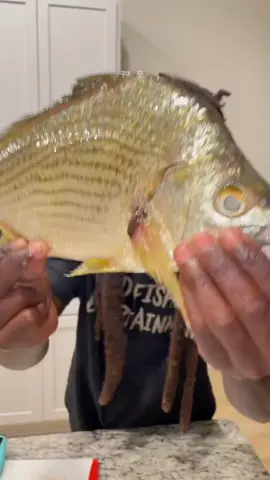 Clean and cook 🔥🔥🔥🧑🏿‍🍳 #hoodfishing #fishing 
