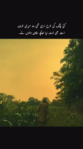 lines🥺❤️‍🩹#sadboy_harry❤️‍ #viralàccount #foryoupage #sadboy_harry❤️‍ #sadreelsstatus❣️🥀😔😔 #sadboy_harry #unfreezmyaccoun🙏🙏🙏 #growaccount #viraltiktok #harry_malik4080 #officelforyoupage #sadstory #universityseries #viralàccount #growmyaccount #growmyaccount 