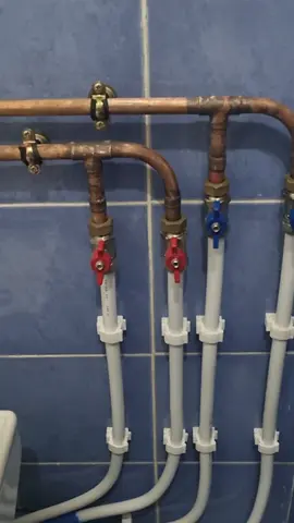 Installer des conduites d'eau pour la salle de bain تركيب أنابيب المياه للحمام #creatorsearchinsights @Le Plombier d'Alger @mmplumber @@elfontaJoan #france  @SRV  #plumbing #cuivre #solder #pipes #pipe #piperrockelle #plombier #plumbers #plumberlife #plumber #plumbersoftiktok @Allen Hart @SuperMarioBosse 🧑‍🏭👩‍🏭 @the_ladyplumber @hydrohussle @Kev&Aly 