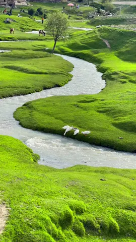 Bilamik thorchay valley Baltistan #baltistan #skardu #nature #Love 