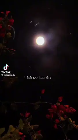 #اغاني_حزينه #عمرو_دياب #شوف اذاي اتغيرحالي#ذيادةمشاهدات❤ #ذيادة_متابعين_تيك_توك_اكسبلور 