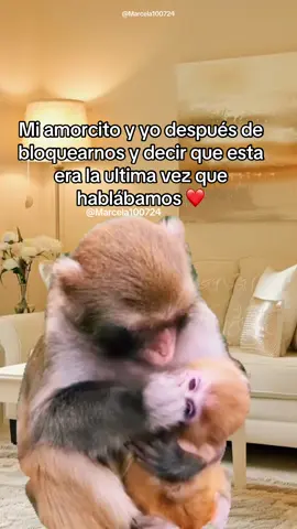 #CapCut #humor 