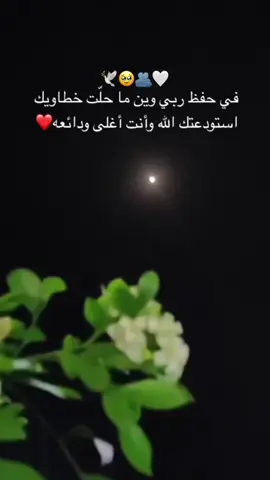 الله يحفظك ويحفظ قلبي اللي معك🕊️🕊️🤍🫂🕊️🥹🫂🫂🫂🕊️❤️#اكسبلوررر #اكسسسسسبلورررررررررر🌹#الضباب_ابها  #الضباب#اكسبلورexplore ##الحب #حبيبي #احبكم  #المشكى_على_الله #خالد_عبدالرحمن #خالديات #خالد_عبدالرحمن_اعاني_حاولت_اجيبك #تصميم #تصاميم #تصميم_فيديوهات🎶🎤🎬 #من_اصدق_ما_قيل #من_اصدق_ماقرات #اكسبلور_explore #شيبت_روحي #ترند_تيك_توك #اطلبي_يانفس_دام_الله_كريم #اكسسسسسبلورررررررررر🌹 #foryou #viraltiktok #😭😭😭😭😭😭💔💔💔💔 #fyp #foryourpage #viraltiktok #fypシ゚viral #fyppppppppppppppppppppppp #بدون_هشتاق #بدون_توقيع #hope #foryourpage