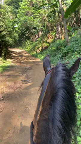 Local de paz! #mangalargamarchador #cavalopreto #trilha #natureza #cavalosminhapaixao 
