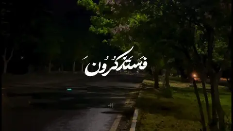 وَأُفَوِّضُ أَمْرِي إِلَى اللَّهِ ❤️‍🩹 #قران #قران_كريم #عبدالباسط_عبدالصمد #هدوء_الليل #طمأنينه #راحة_نفسية 