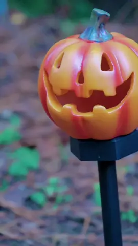SP👀KY SEAS🎃N #ad 