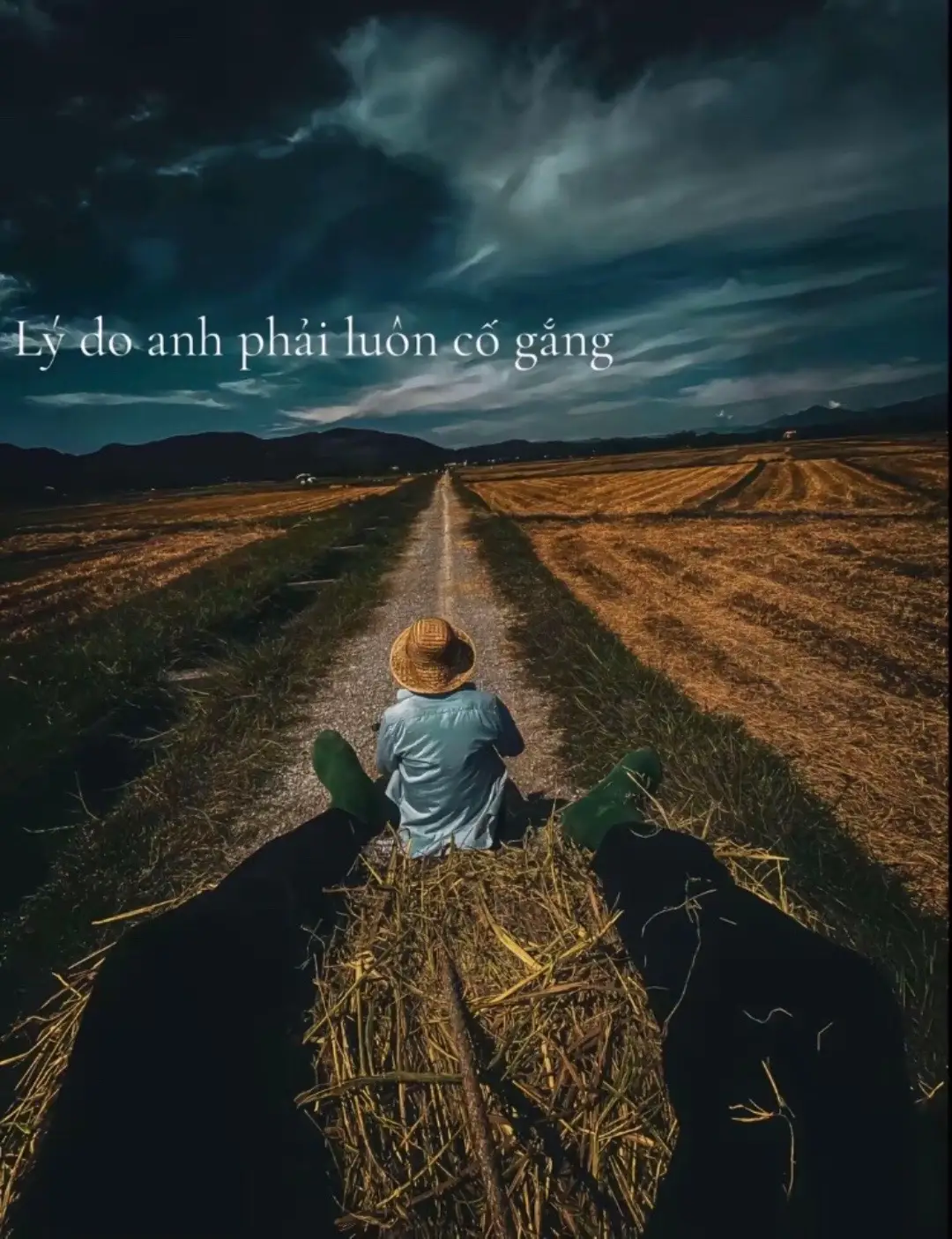 Lý do?#xuhuong #story #tamtrang #tinhyeu #fypシ 