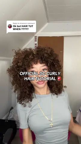 Replying to @Arianna  HERE IS MY LONG AWAITED 3C CURLY HAIR TUTORIAL 😋  this is for my girlies who prioritize volume over definition 💅🏽 I hope you enjoyed and follow my routine 🤍 #curlyhairtutorial #3chair #curlyhairroutine #afro #latina 