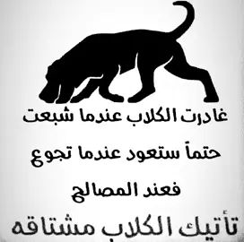 #tiktok #fppppppppppppppppppp #fyp #4u #yfp #بومحمد #viralvideos #explore 