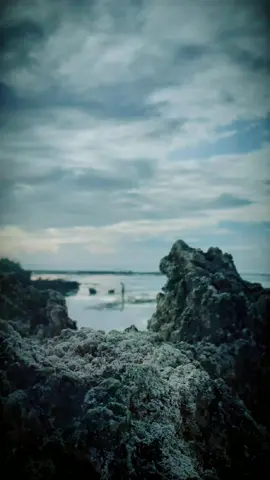 #TikTokCreatorSearchInsightsIncentive #fyp #fypシ #storywhatsapp #storywa #fypeeeeeeeeeeeeeeeeee #senja 