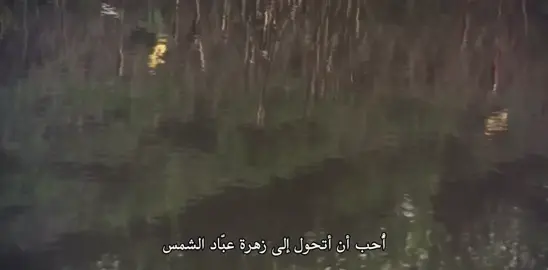 #haroldandmaude (1971)-dir. Hal Ashby